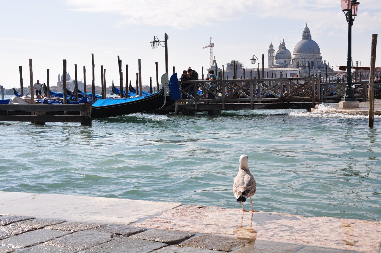 Venice